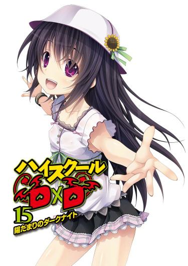 Старшая школа демонов-dxd (Новелла)
