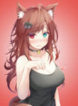 cover_250x350 (11)