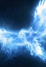 cPBncoNz02XP_250x350