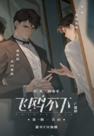 dOZ1glOD5CZH_250x350