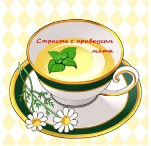 Страсть с привкусом мяты (Новелла)