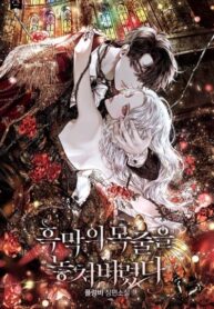 oNEpZOea7tcl_250x350