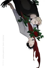 Y01aoWO8seG0_250x350