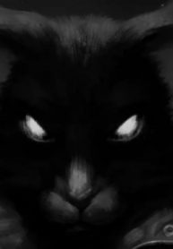 jZIMtf5zKFBs_250x350