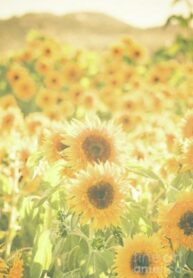 B2nyJKEydGxt_250x350