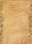 cover_250x350 (5)