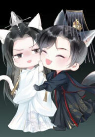 eDMWH800eE7x_250x350