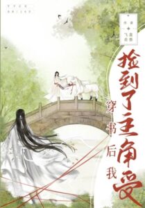 После попаданчества в книгу я подобрал главного героя-шоу (Новелла)