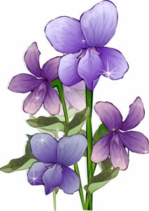 Фиалки на холме (Новелла)