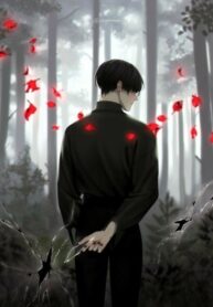 MtiRARjRjqqP_250x350