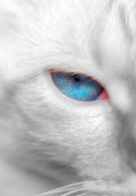 444b1f48-dc95-43c5-9c18-b0f7e5db8b00