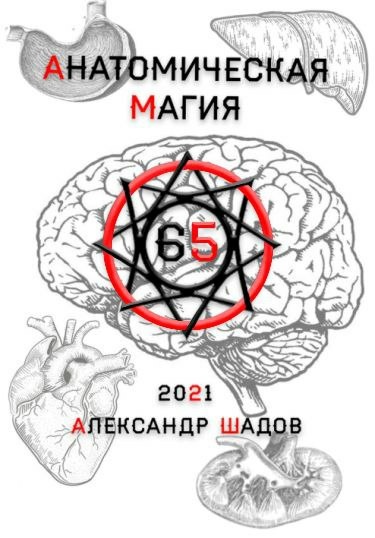 Анатомическая магия (Новелла)