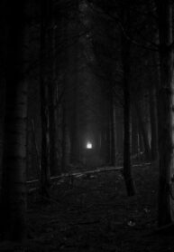 OFXTYdfU7P4C_250x350