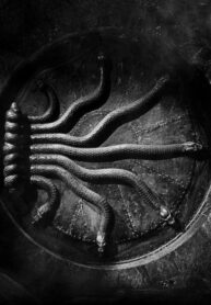 zn46sLv2zxgC_250x350