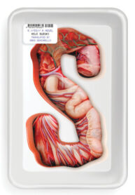 142fea78-6162-49b7-830e-2dbbb1fb2e53