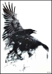 У ворона два крыла (The raven has two wings)